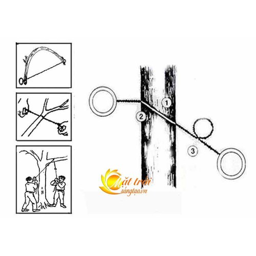 day-cua-sinh-ton-da-nang-chuyen-di-phuot-5